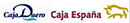 CV Caja Espana Duero